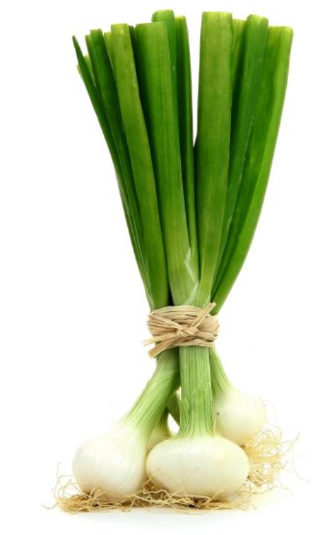 Oignon Blanc Botte (grosse) Pays De La Loire X1